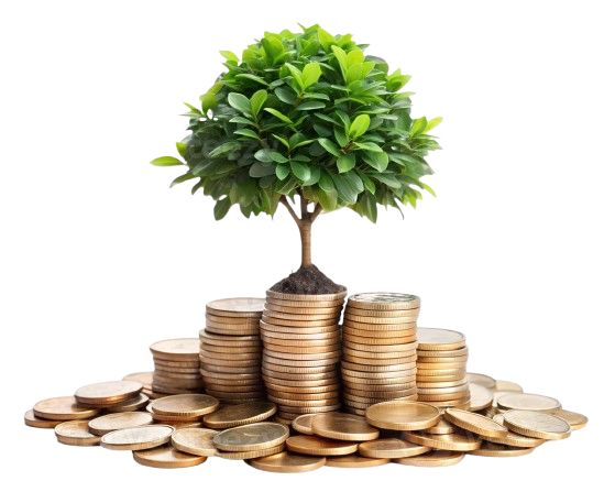 The Alpine Sanctuary: Why Swiss Investors Prioritize Private Placement Insurance