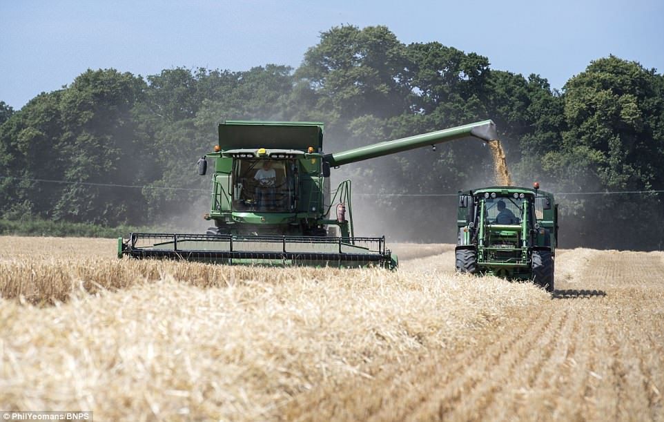 Powering the British Countryside: The Essential Guide to Agricultural Oil Suppliers and Modern Farm Fuel